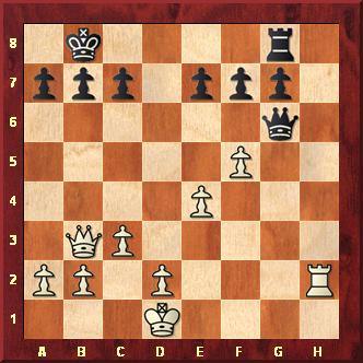 Howells-Rowlison_inspired_check_all_checks (26K)